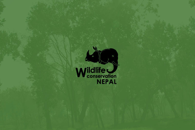 4. Pollinators Conservation Program