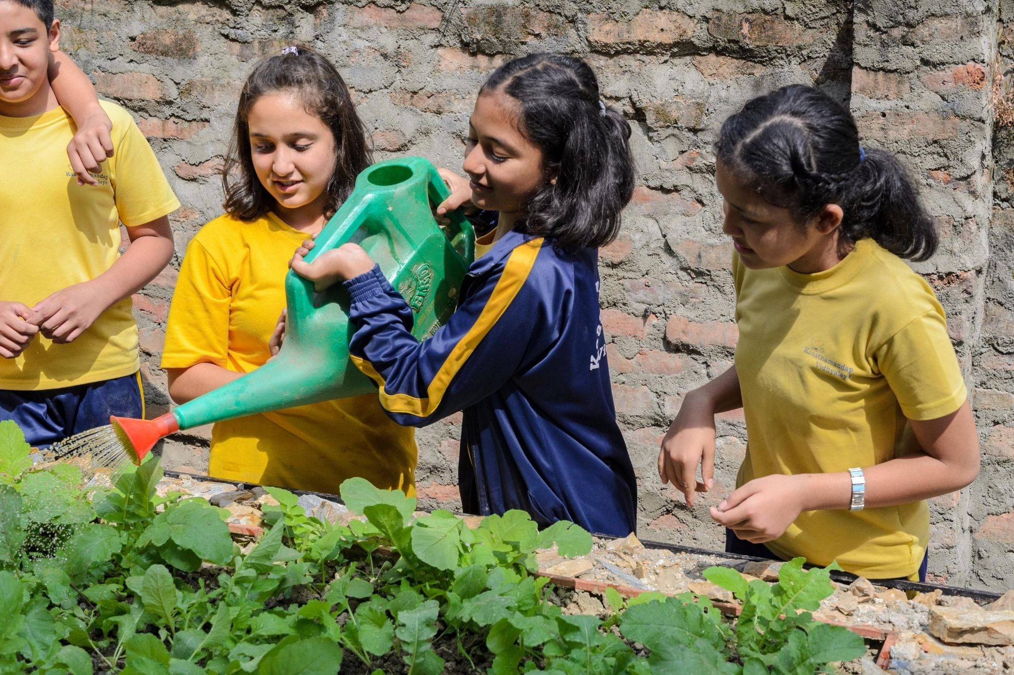 Our Green School - Hamro Harit Vidhyalaya
