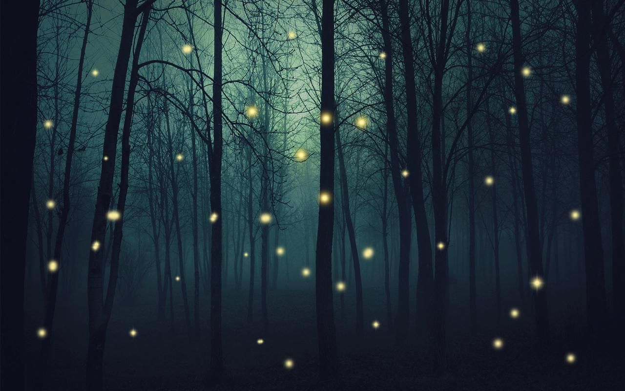 Fireflies, the Forgotten Sparks