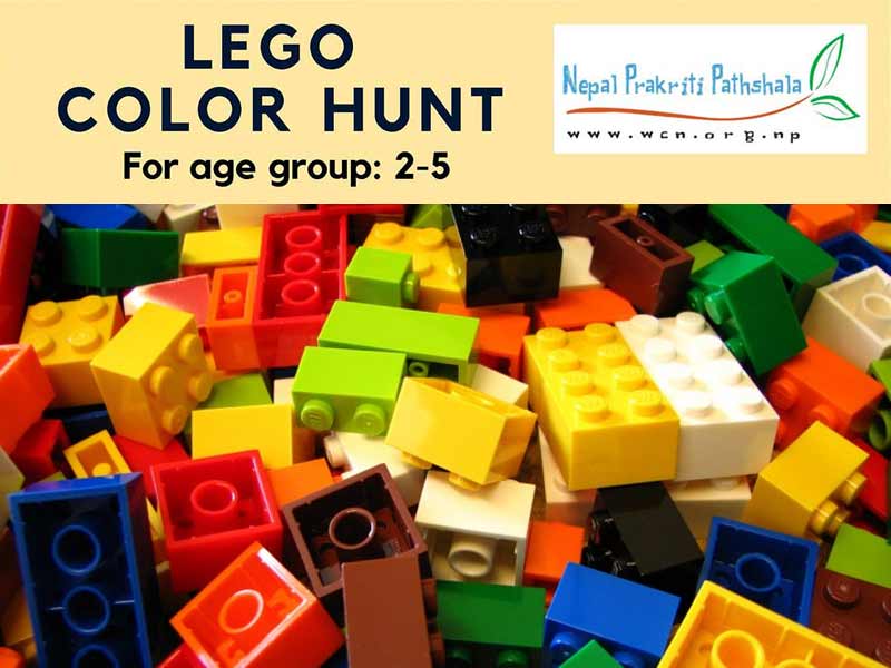 Lego Color Hunt