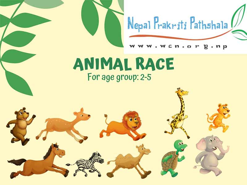 Animal Race