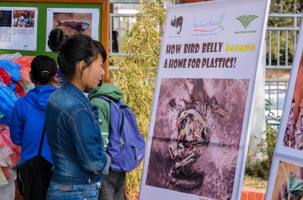 1. Awareness Programs