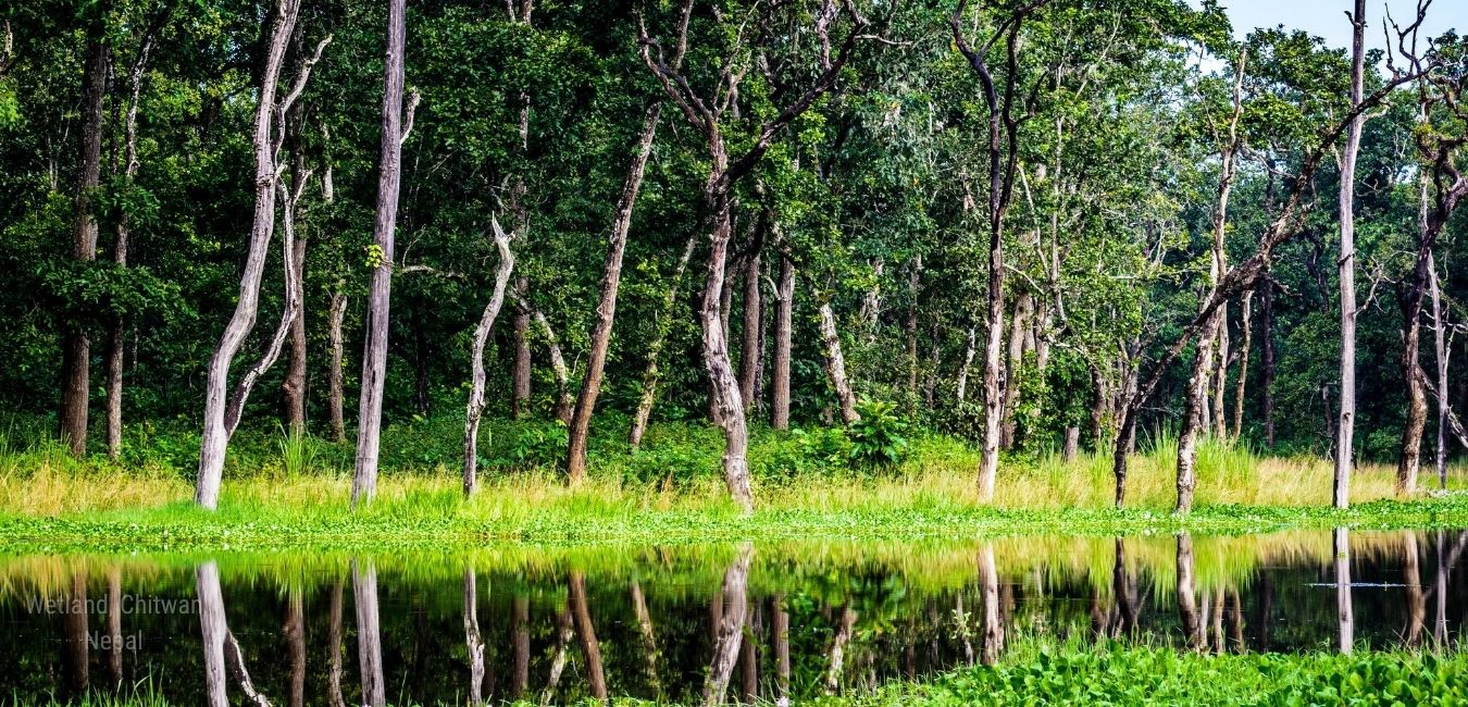 WETLANDS – A SOURCE OF RICH BIODIVERSITY