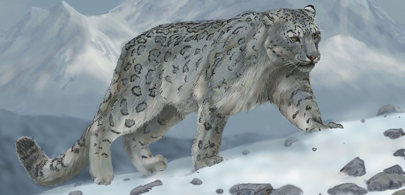 Snow Leopard's Poaching Alert