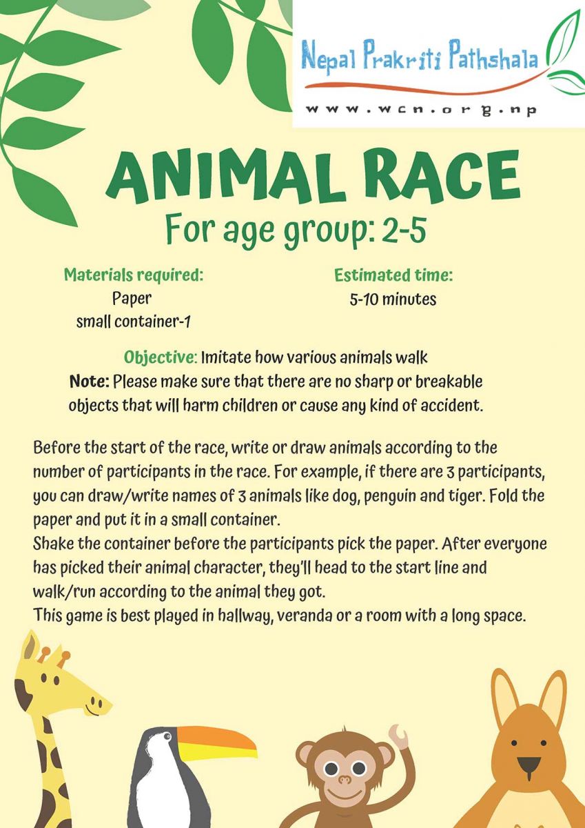 Animal Race